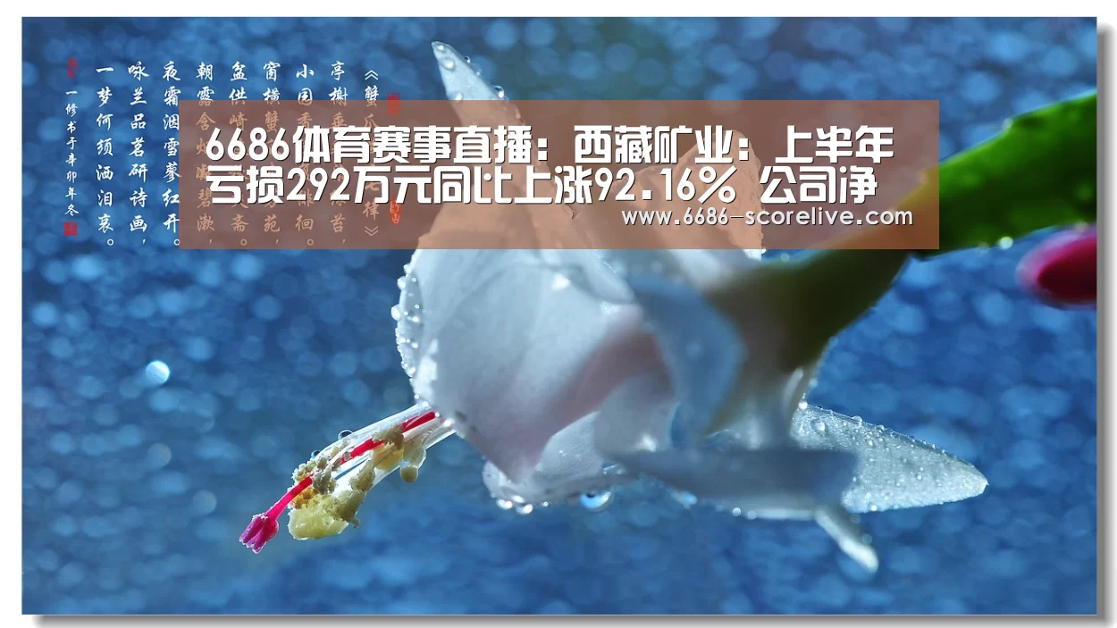 6686电竞直播