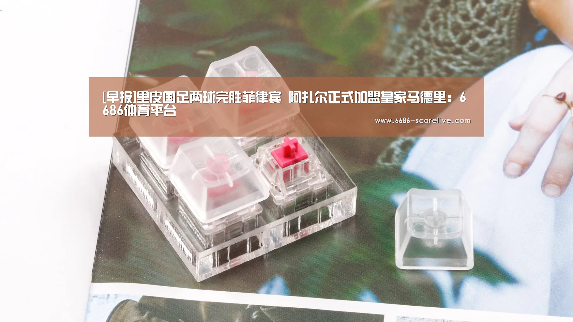 6686真人娱乐
