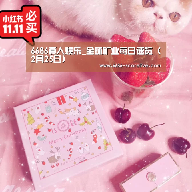 6686真人娱乐_全球矿业每日速览(2月25日)(图3) 6686体育赛事直播