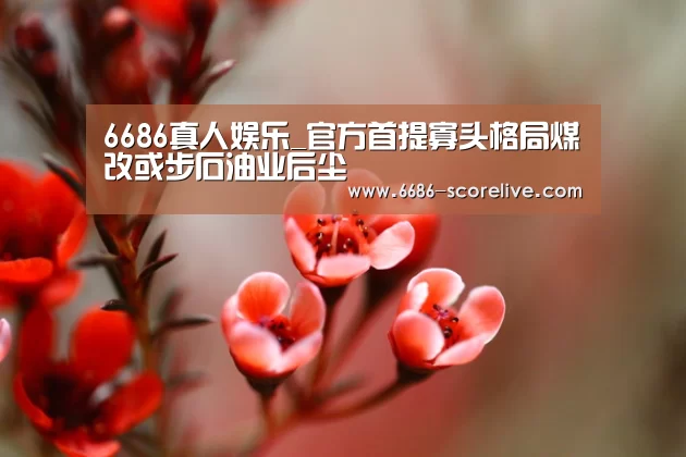 6686真人娱乐