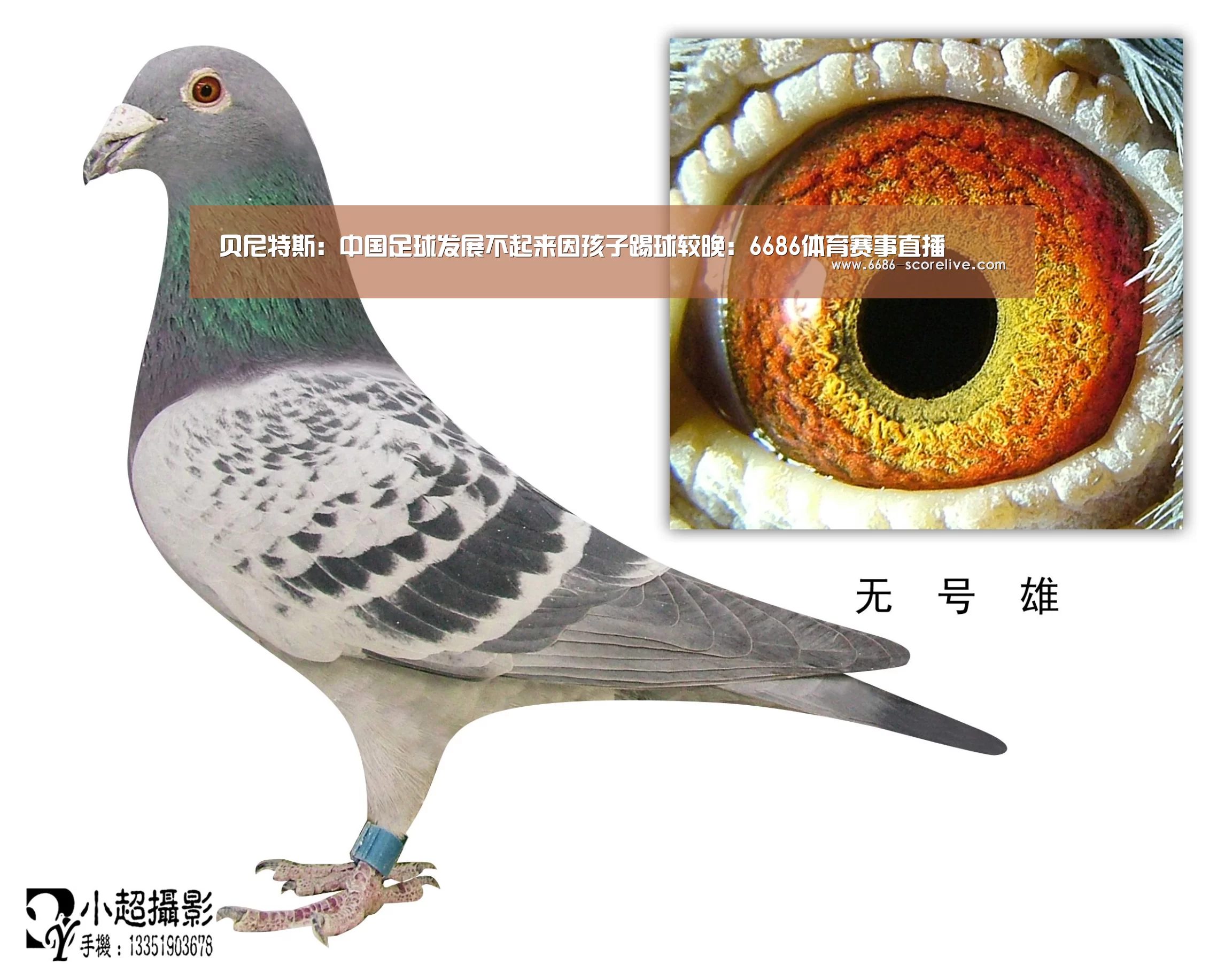 贝尼特斯:中国足球发展不起来因孩子踢球较晚:6686体育赛事直播(图2) 6686真人娱乐