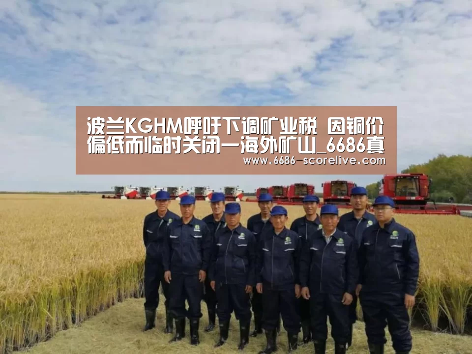 波兰KGHM呼吁下调矿业税 因铜价偏低而临时关闭一海外矿山_6686真人娱乐(图2) 6686体育平台