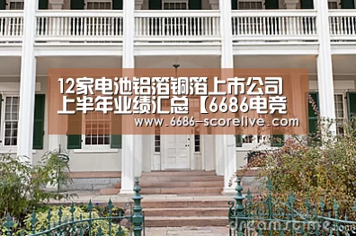 12家电池铝箔铜箔上市公司上半年业绩汇总【6686电竞直播】(图2) 6686体育赛事直播
