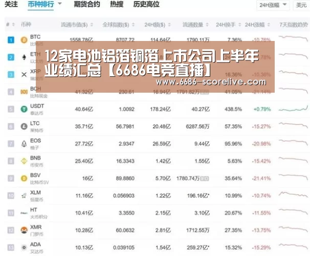 12家电池铝箔铜箔上市公司上半年业绩汇总【6686电竞直播】(图3) 6686电竞直播