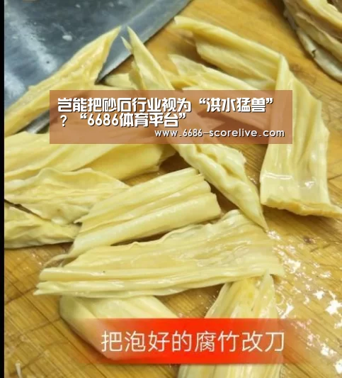 岂能把砂石行业视为“洪水猛兽”?“6686体育平台”(图2) 6686体育平台