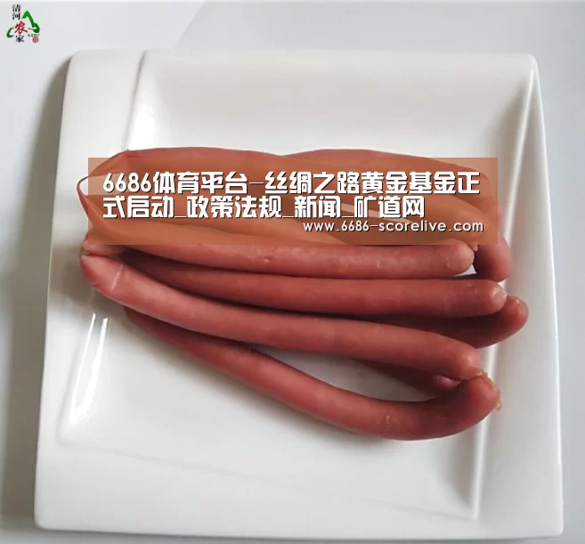 6686体育平台-丝绸之路黄金基金正式启动_政策法规_新闻_矿道网(图2) 6686体育赛事直播