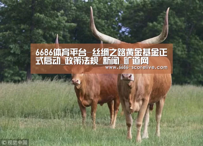 6686体育平台-丝绸之路黄金基金正式启动_政策法规_新闻_矿道网(图3) 6686真人娱乐
