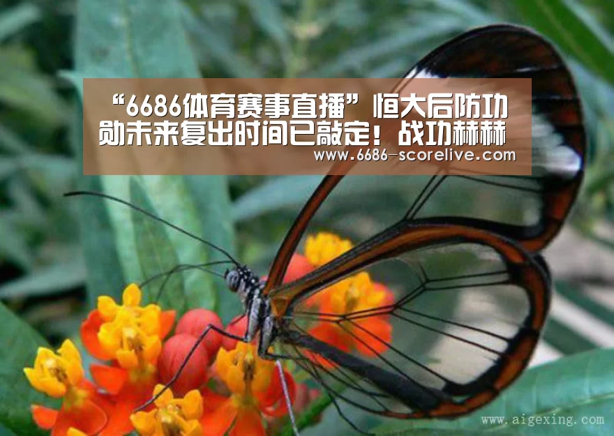 “6686体育赛事直播”恒大后防功勋未来复出时间已敲定!战功赫赫曾多次力挽狂澜(图1) 6686体育平台